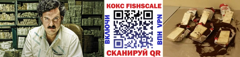 Cocaine Fish Scale  где купить наркоту  мега рабочий сайт  Змеиногорск 