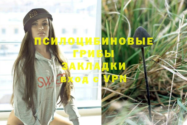 PSILOCYBIN Володарск