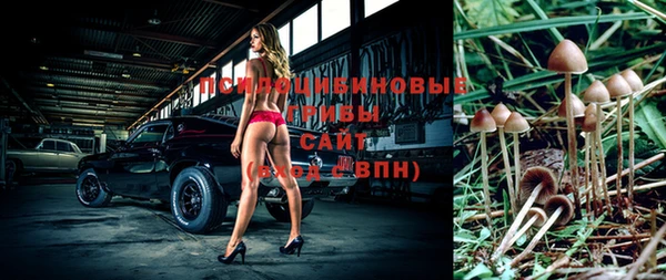 PSILOCYBIN Володарск