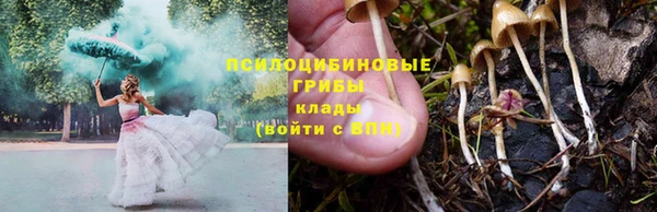 PSILOCYBIN Володарск