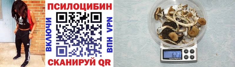 магазин  наркотиков  Змеиногорск  Галлюциногенные грибы Psilocybine cubensis 